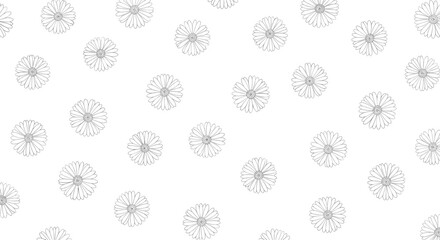 Seamless pattern of delicate thin line art daisies with fine petals scattered randomly across a clean white background.