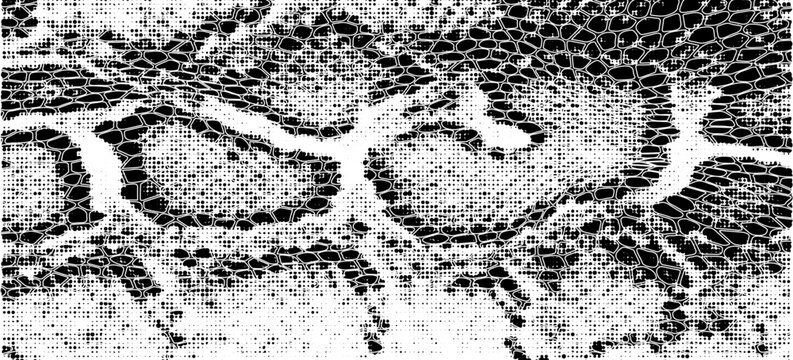 Snakeskin pattern imitation. Lines and spots structural texture. Cool and artsy faux leather background. Abstract vector illustration. Black isolated on white. EPS10