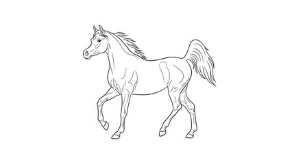 Majestic horse in motion with flowing mane and tail © Tana