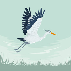 Graceful Heron Flying Over Wetlands