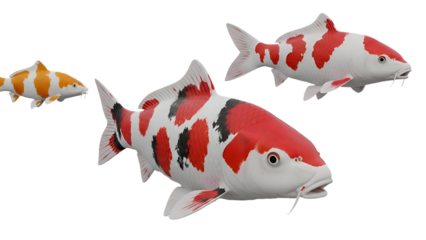 Three koi fish swimming gracefully