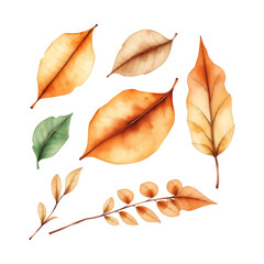 Autumn leaves in various shades