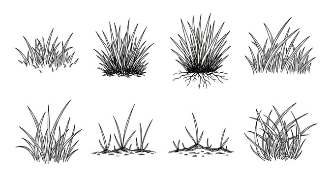 Collection of hand-drawn grass clumps and tufts in a simple line art style
