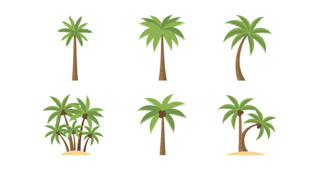 Collection of diverse palm trees in a flat vector illustration style