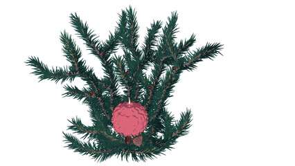 大きな松ぼっくりのイラスト