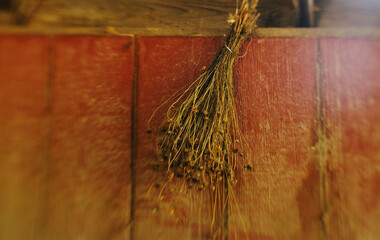 Plants hanging to dry in barn against old wood background.