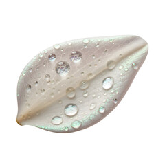 Water droplets on leaf