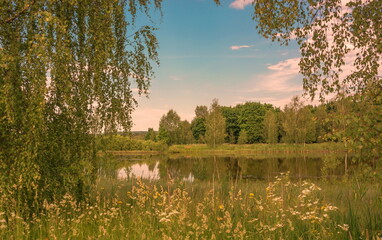 Summer landscape with forest on the river bank