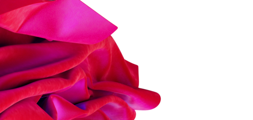 Close up shot of luxurious red velvet cloth with vibrant magenta shadows and highlights against a white background. Perf