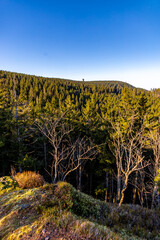 Winterwanderung im Th&uuml;ringer Wald auf den h&ouml;chsten Punkt am Rennsteig den Schneekopf - Th&uuml;ringen - Deutschland