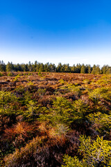 Winterwanderung im Th&uuml;ringer Wald auf den h&ouml;chsten Punkt am Rennsteig den Schneekopf - Th&uuml;ringen - Deutschland