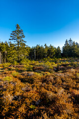 Winterwanderung im Th&uuml;ringer Wald auf den h&ouml;chsten Punkt am Rennsteig den Schneekopf - Th&uuml;ringen - Deutschland