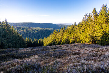 Winterwanderung im Th&uuml;ringer Wald auf den h&ouml;chsten Punkt am Rennsteig den Schneekopf - Th&uuml;ringen - Deutschland
