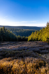 Winterwanderung im Th&uuml;ringer Wald auf den h&ouml;chsten Punkt am Rennsteig den Schneekopf - Th&uuml;ringen - Deutschland