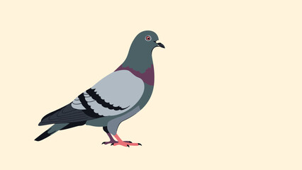 Obraz premium Illustration of a single pigeon standing on a light background.