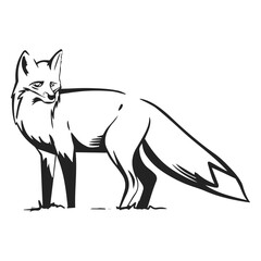 Obraz premium Fox side view drawn