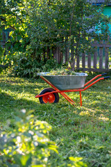 Wheelbarrow with cut grass on green lawn in backyard garden in summer