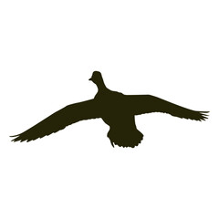 Hunting goose front wings spread flying © Vexels