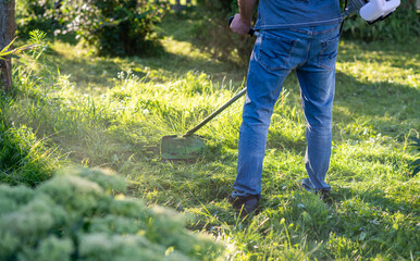 Male gardener mowing lawn with grass trimmer outdoors on sunny day