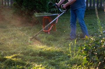 Man mowing grass with trimmer in sunlight with wheelbarrow nearby