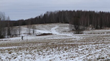 snow-covered field and forest in northeastern Europe at the beginning of winter