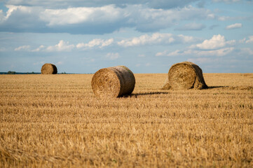 Round hay bales on a mowed field under a cloudy blue sky