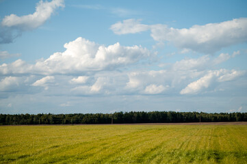 Mowed golden field with dry grass under a bright blue summer sky and forest line on the distant horizon