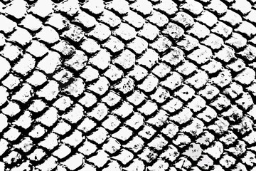 A close up monochrome texture of reptile scales with a rough pattern