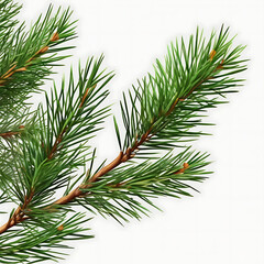Minimal Christmas background with pine branches and ornaments