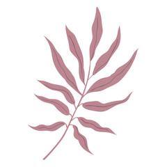 Fototapeta premium Pink leaves semi flat