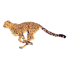 Cheetah animal running © Vexels