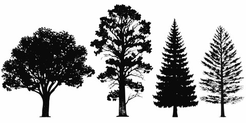 Obraz premium Silhouettes of various trees including deciduous and coniferous species