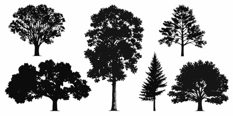 Fototapeta premium A collection of diverse tree silhouettes against a plain white background