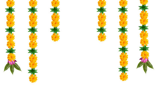  Indian festival Thoranam or Toran of marigold flowers isolated on transparent background with lotus flower and mango leaf, hanging in entrance of house, reception, mall, temple, functions.