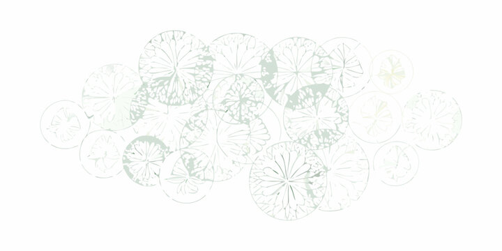 A collection of delicate pale green circular floral patterns resembling lily pads