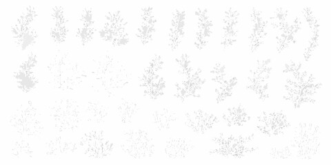 Delicate floral arrangement of sprigs and leaves in a grayscale pattern © Bebdas