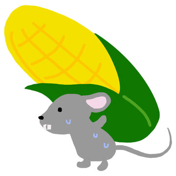 a corn-stealing mouse Stock Illustration | Adobe Stock
