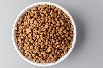Fototapeta premium Closeup of dog food in white bowl on gray background
