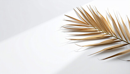 Golden Palm Leaf on White
