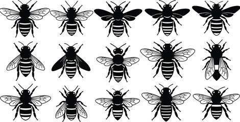 Bee insect silhouettes set, flying honey bee variations, black detailed entomology icons collection, isolated nature wildlife vector illustration pack © MdMurad