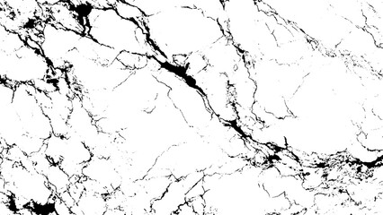 Obraz premium white marble texture with black veins