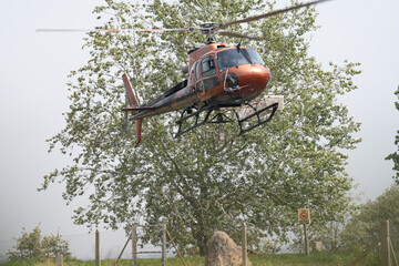 Helicopter Hovering Near Tree in Natural Setting