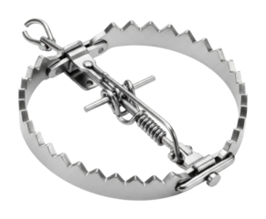 Trapping devices in action steel jaw trap forest product isolated on transparent background