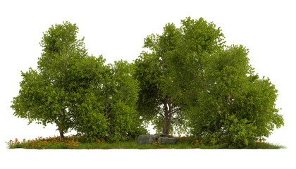 PNG tree group transparent, 3d illustration rendering © angkhan