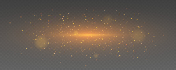 Glistering magic dust shines brightly. Floating light particles create a dreamy Christmas sparkle on a transparent background. Elegant glowing stardust drawn as vector PNG. © IvanLi
