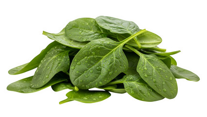 Fototapeta premium Fresh spinach leaves with water droplets for cooking, salad and nutrition, isolated on white or transparent background. PNG