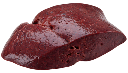Fresh raw beef liver meat with visible texture isolated on transparent background