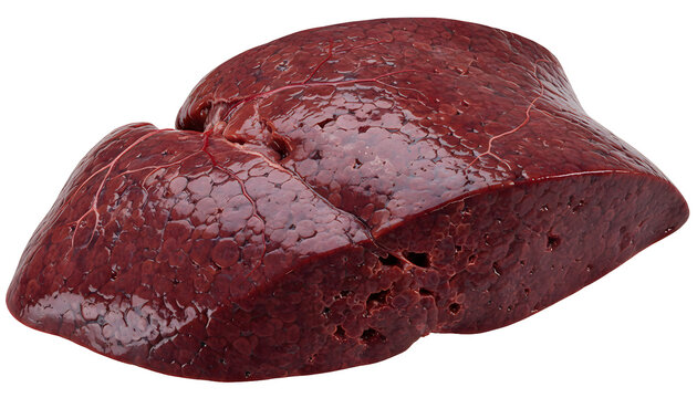 Fresh raw beef liver meat with visible texture isolated on transparent background