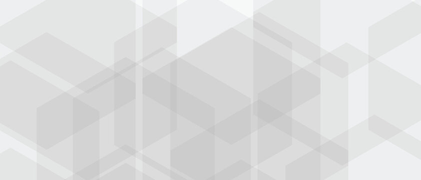 White and gray with black  abstract vector long minimal banner Vector abstract graphic geometric Pattern design background template.