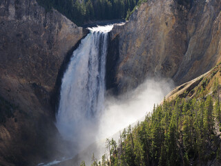 Powerful Lower Falls of the Yellowstone Plunging Down